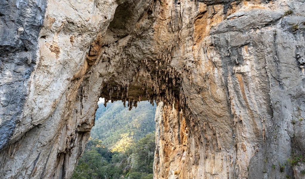 The rocky face of Carlotta Arch, Jenolan Karst Conservation Reserve. Photo: Jenolan Caves &copy; DPE