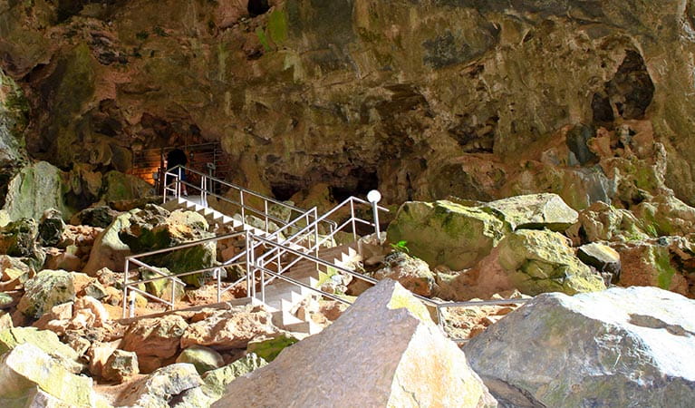 Stairs climb up into Nettle Cave, open for self-guided tours, at Jenolan Karst Conservation Reserve. Photo: Rosie Nicolai/DPIE
