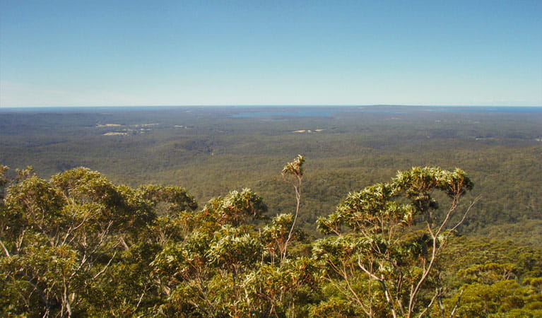 Jerrawangala Lookout, Jerrawangala National Park. Photo: R Phelps/NSW Government