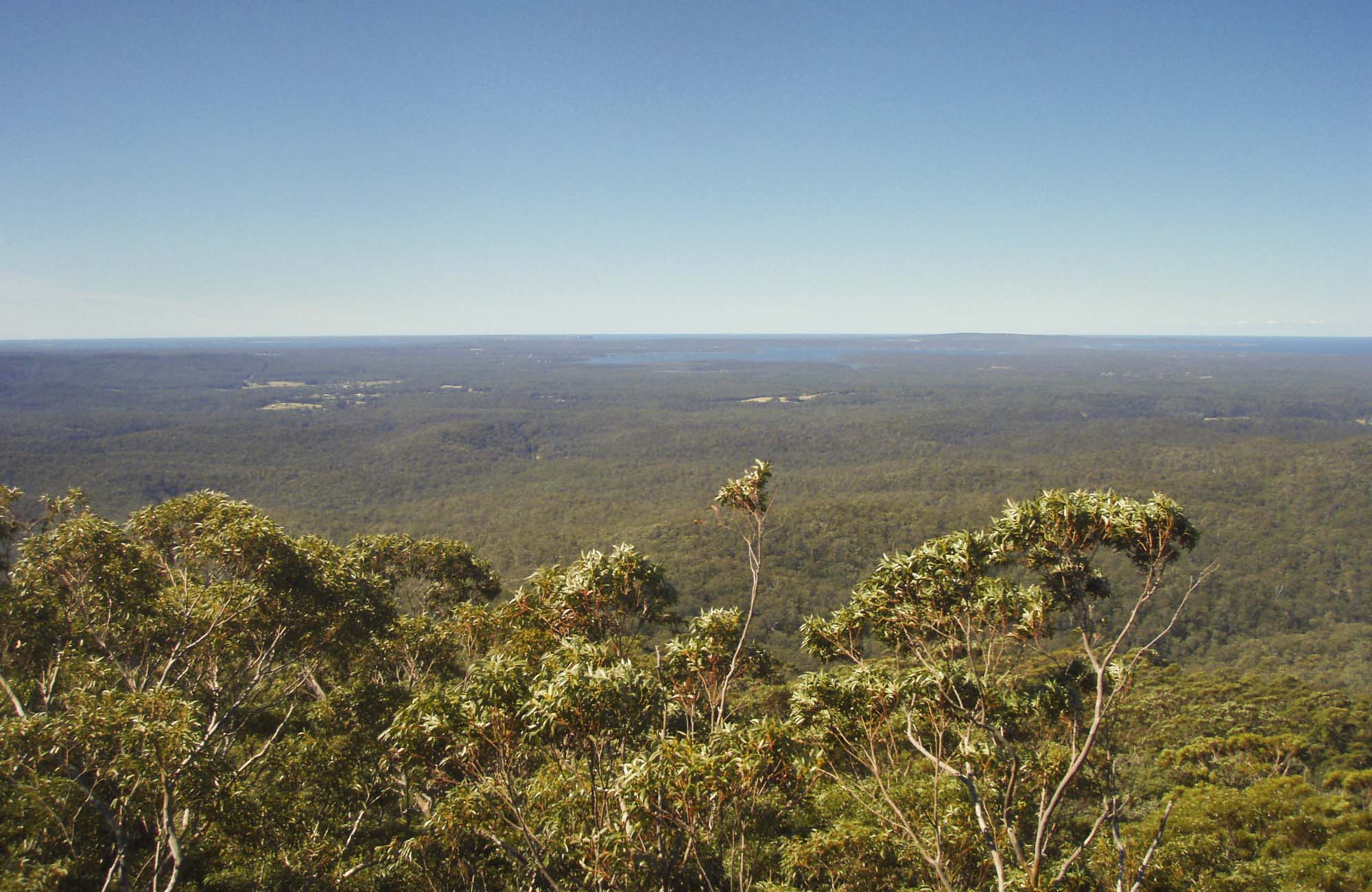 Jerrawangala Lookout, Jerrawangala National Park. Photo: R Phelps/NSW Government