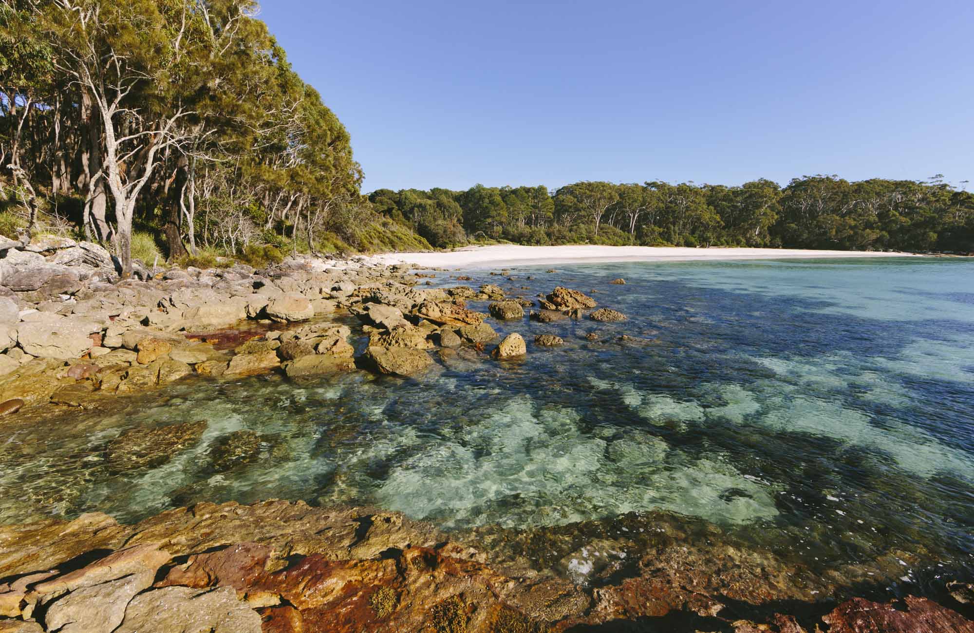 Greenfield Beach, Jervis Bay National Park. Photo: David Finnegan/NSW Government