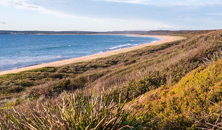 Beach and coastal views from Bull Hole lookout, Jervis Bay National Park. Photo: Michael Van Ewijk &copy; DPIE