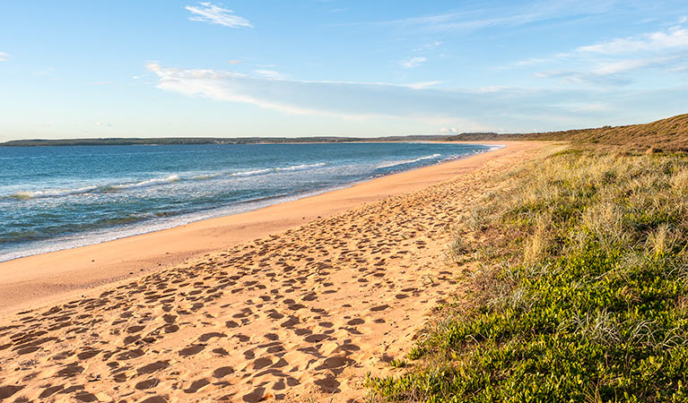 Sandy beach views from Bull Hole lookout, Jervis Bay National Park. Photo: Michael Van Ewijk &copy: DPIE 