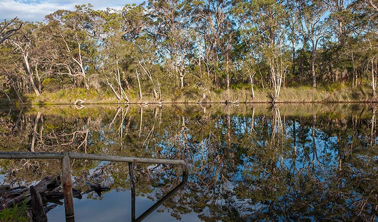 Timber ramp at Coonemia Creek in Jervis Bay National Park. Photo: Michael Van Ewijk &copy; DPIE