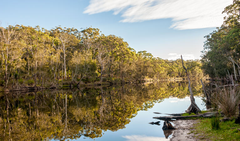 Trees reflected at Coonemia Creek, Jervis Bay National Park. Photo: Michael Van Ewijk &copy; DPIE