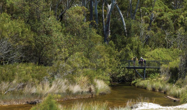 People stand on a boardwalk above a creek, Jervis Bay National Park. Photo: David Finnegan &copy; DPIE