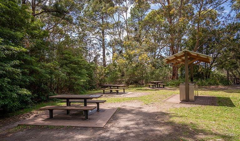 Barbecue facilities and picnic tables at Greenfield Beach, Jervis Bay National Park. Photo credit: John Spencer &copy; DPIE