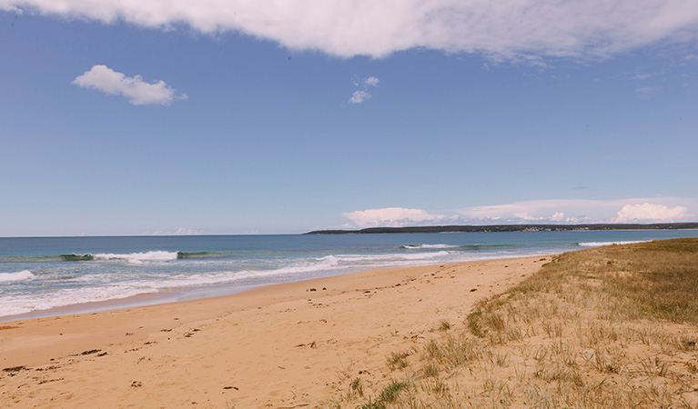 Warrain Beach near Hammerhead Point picnic area, Jervis Bay National Park. Photo: David Finnegan &copy; DPIE