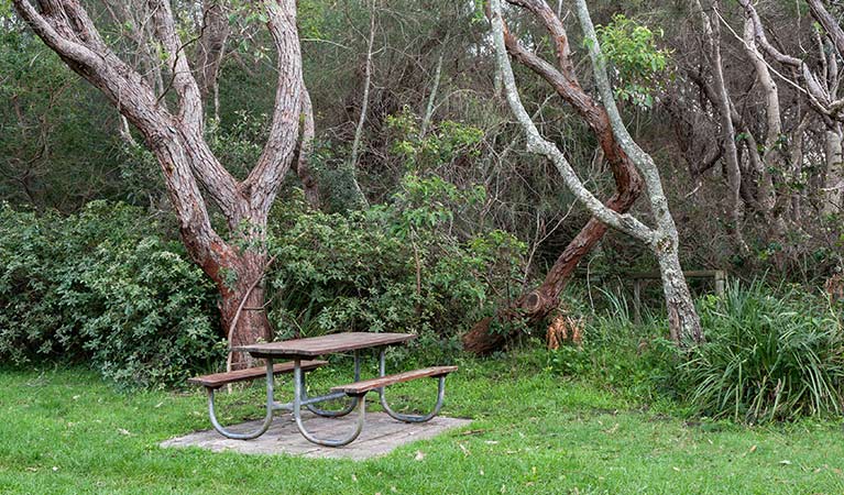 A picnic table next to trees at Hammerhead Point picnic area, Jervis Bay National Park. Photo: Michael Van Ewijk &copy: DPIE