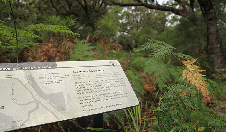 Signage along Hare Point walking track, Jervis Bay National Park. Photo: Andrew Richards &copy; Andrew Richards