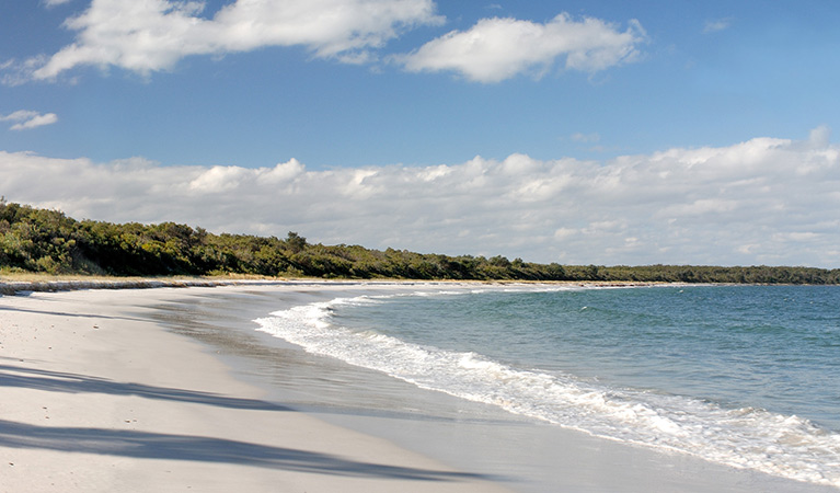 Waves on beach near Hare Point, Jervis Bay National Park. Photo: Michael Van Ewijk &copy; OEH