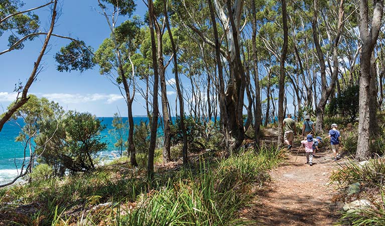 A family walk along Scribbly Gum track, Jervis Bay National Park. Photo: David Finnegan &copy; DPIE