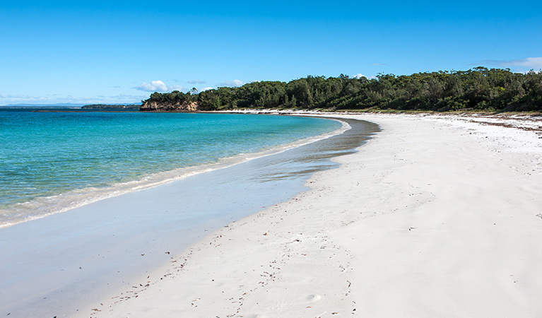 White sandy beach near Red Point, Jervis Bay National Park. Photo: Michael Van Ewijk &copy; DPIE