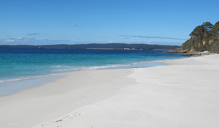 Chinamans Beach, Jervis Bay National Park. Photo: Elinor Sheargold &copy; OEH