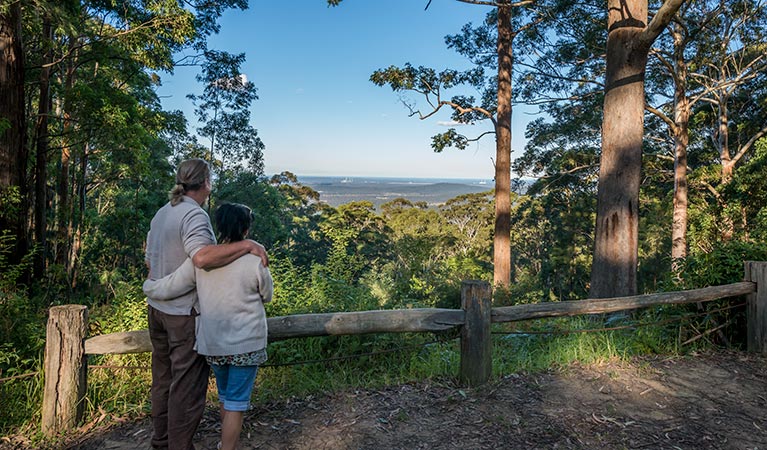 Muirs lookout, Jilliby State Conservation Area. Photo: John Spencer