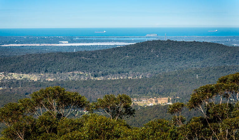 Muirs lookout, Jilliby State Conservation Area. Photo: John Spencer