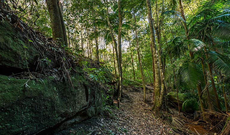 Jilliby State Conservation Area. Photo: John Spencer/OEH