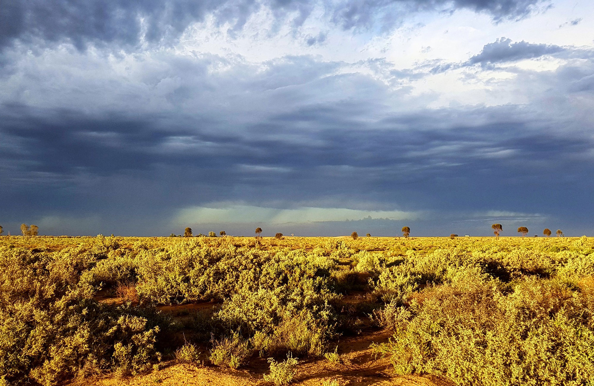 A stormy sky over vegetation at Lachlan River campground in Kalyarr National Park. Photo &copy; Samantha Ellis