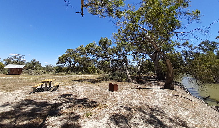 A picnic table and wood barbecue on the banks of the river at Lachlan River campground in Kalyarr National Park. Photo: Jessica Murphy &copy; DPIE