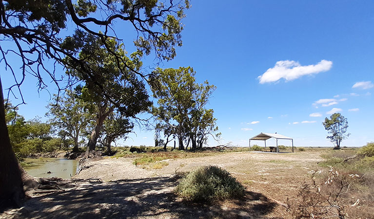 The banks of the Lachlan River at Lachlan River campground with a barbecue shelter in the distance in Kaylarr National Park. Photo: Jessica Murphy &copy; DPIE 