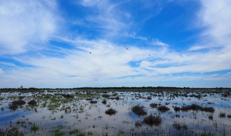 Lake Ita under a blue sky, Kalyarr National Park. Photo: Jess Murphy &copy; DPE 