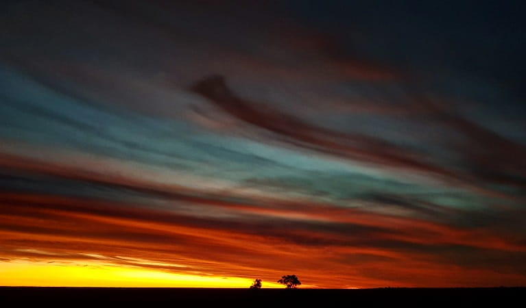 Sunset over the Hay Plain, Kalyarr National Park. Photo: Samantha Ellis &copy; DPIE
