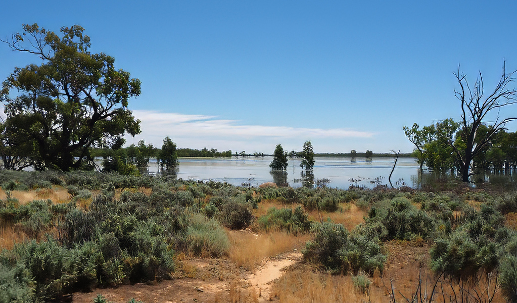 Ita Lake, Kalyarr National Park, 30km from Hay. Photo: Jess Murphy, &copy; DCCEEW