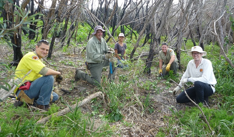 Botany Bay busy bee volunteers. Photo: Ben Khan OEH