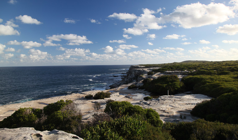 Cape Baily Coast walk, Kamay Botany Bay National Park. Photo: Andy Richards