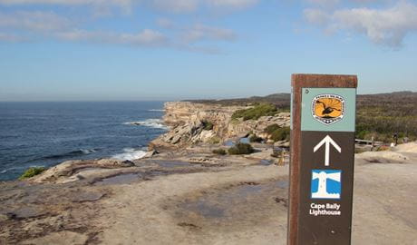 Park sign pointing to Cape Baily lighthouse, set against a vista of ocean, rugged rocky coastline and bushland.  Photo: Natasha Webb/DPIE