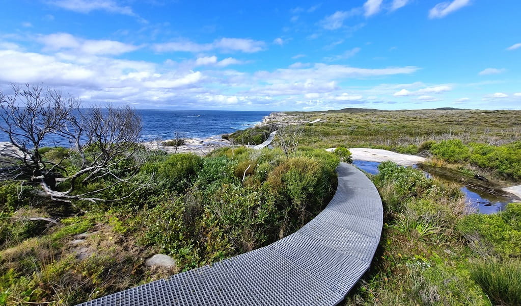 Cape Baily walking track, winding over the Kurnell cliff tops with spectacular views of the ocean, Kurnell area. Photo: Jeremy Malgras &copy; DPE