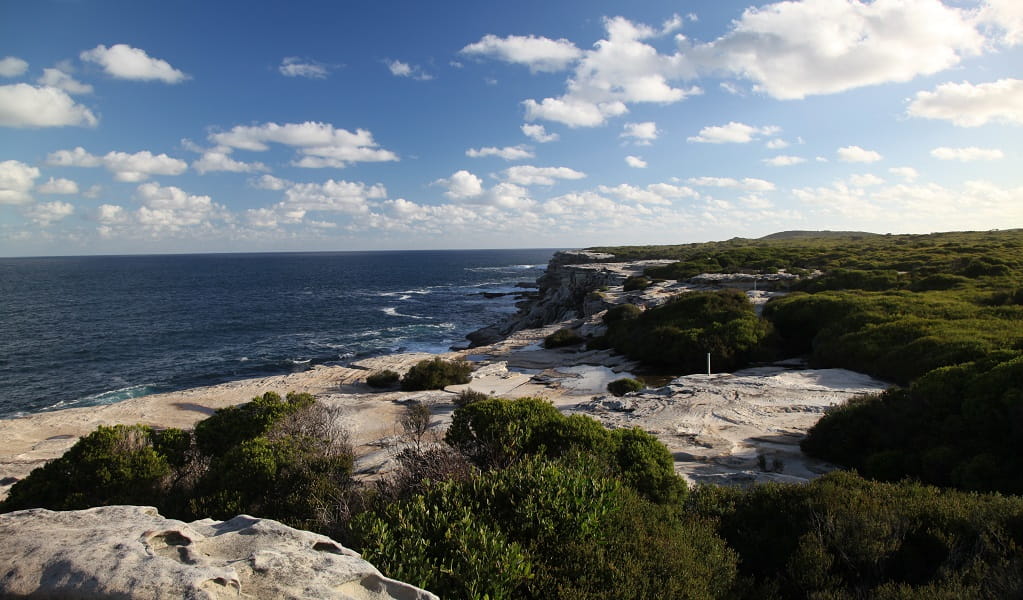The clifftop at Kurnell, showing the prime ocean views, sandstone and heathland that you'll see when you hike Cape Baily walking track, Kurnell area, Kamay Botany Bay National Park. Photo: Andrew Richards &copy; the photographer