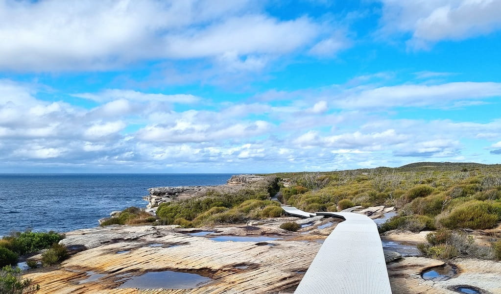 There are occasional steps up and down along Cape Baily walking track, Kurnell area, Kamay Botany Bay National Park. Photo: Jeremy Malgras &copy; DPE