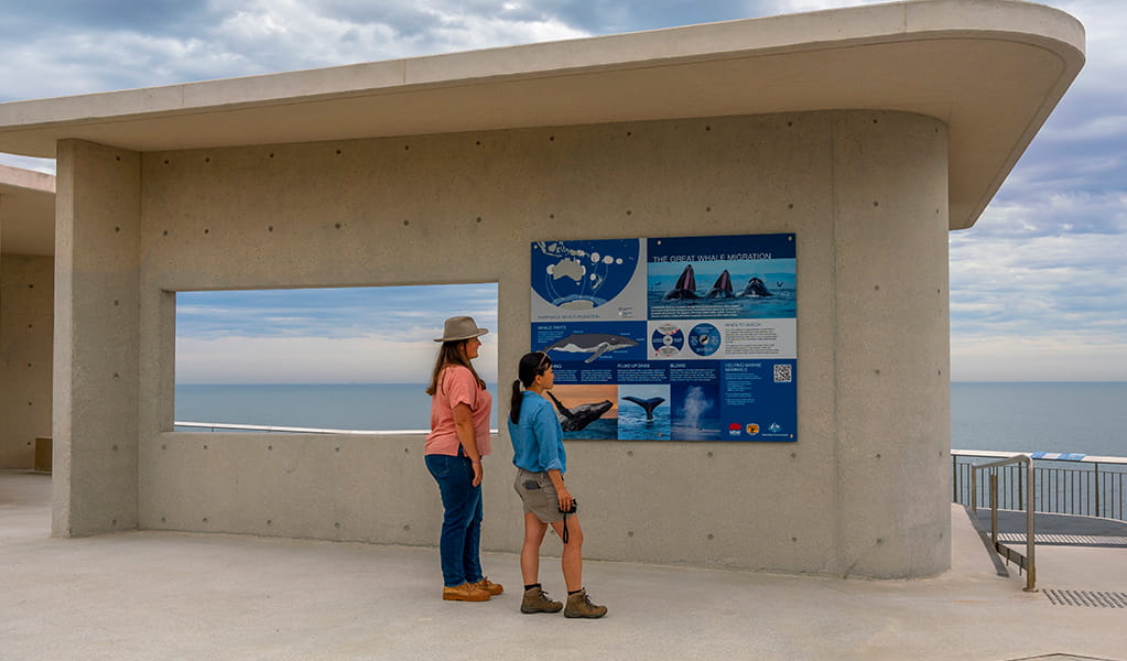 Two women view the whale information charts posted on the Cape Solander platform. Photo: John Spencer &copy; DPE