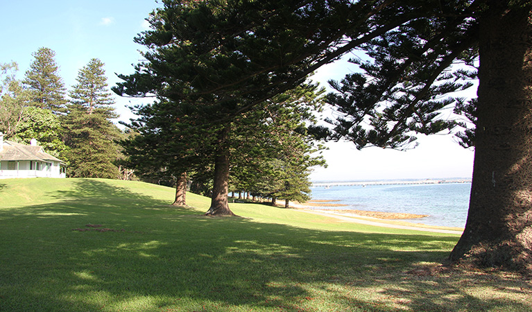 Grassy hillside, shaded by tall trees, sloping down to the seaside. Photo credit: Natasha Webb &copy; Natasha Webb