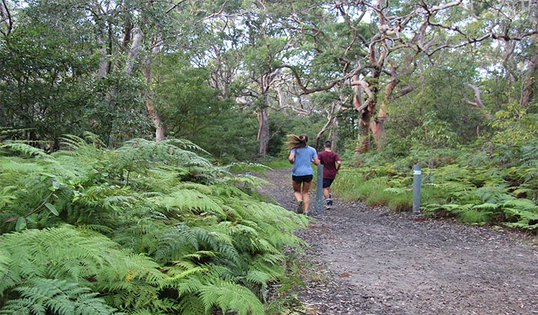 A man and women run along a wide trail toward woodland. Photo credit and &copy; Natasha Webb/DCCEEW