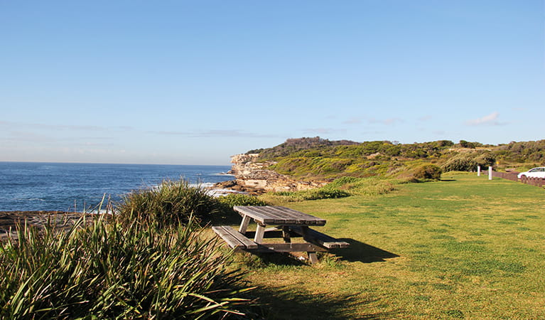 View of flat grassy area with picnic table and rugged coastline in the distance. Photo: Natasha Webb/DPIE