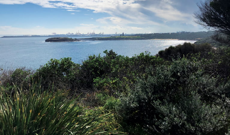 Views across Botany Bay to Port Botany.  Credit: Natasha Webb. &copy; Natasha Webb/DPIE