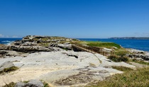 Cape Banks headland, La Perouse, Kamay Botany Bay National Park. Photo: Elinor Sheargold &copy; OEH