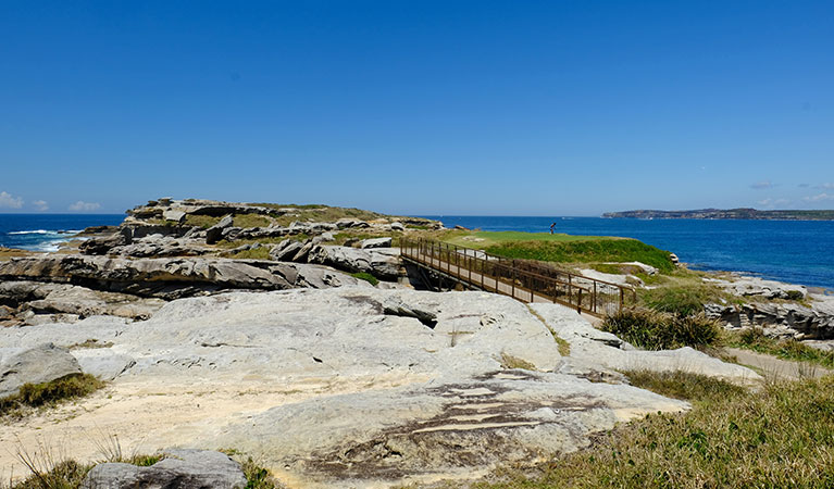 Cape Banks headland, La Perouse, Kamay Botany Bay National Park. Photo: Elinor Sheargold &copy; OEH