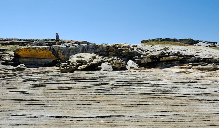  Weathered rock formations at Cape Banks, La Perouse, Kamay Botany Bay National Park. Photo: Elinor Sheargold &copy; OEH