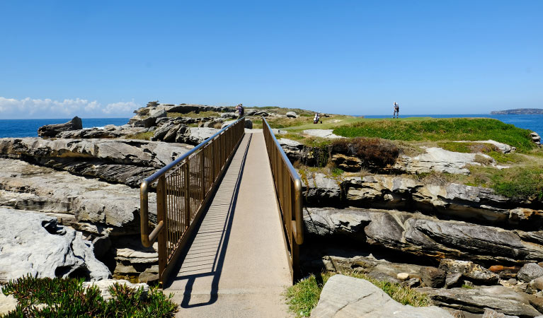 Pedestrian bridge to Cape Banks headland, Kamay Botany Bay National Park. Photo: Elinor Sheargold &copy; OEH