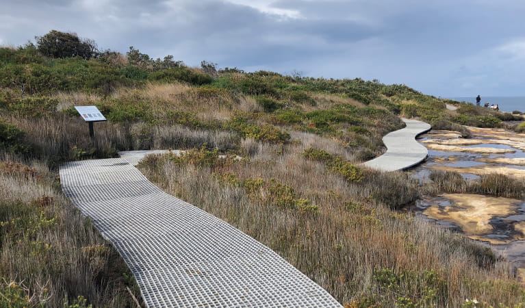 A section of raised boardwalk winding through the coast heath on Cape Banks walking track. Credit: Natasha Webb &copy; Natasha Webb