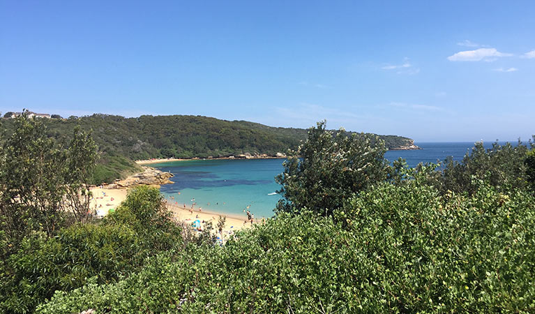 View of Congwong Beach surrounded by coastal bushland. Photo: Natasha Webb/OEH.