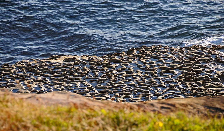 Rock platform at the water's edge. Photo: Kevin McGrath/OEH.