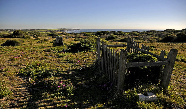 Historic grave surrounded by old wooden fence, on flowering heath with coastal bushland and ocean in the background.  Photo: Kevin McGrath/OEH.