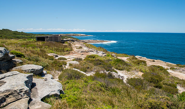 Henry Head walking track, Kamay Botany Bay National Park. Photo: John Spencer &copy; OEH