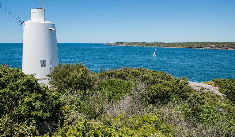 Henry Head walking track, Kamay Botany Bay National Park. Photo: John Spencer &copy; OEH