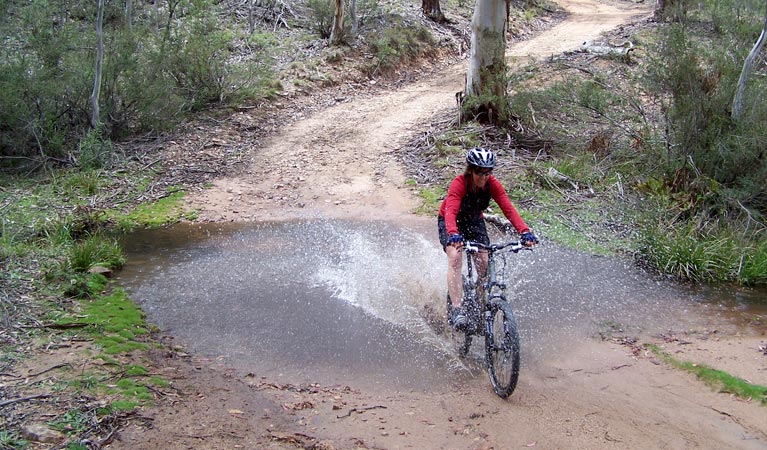 Boyd River Loop Mountain Biking, Kanangra National Park. Photo: J Bros/NSW Government