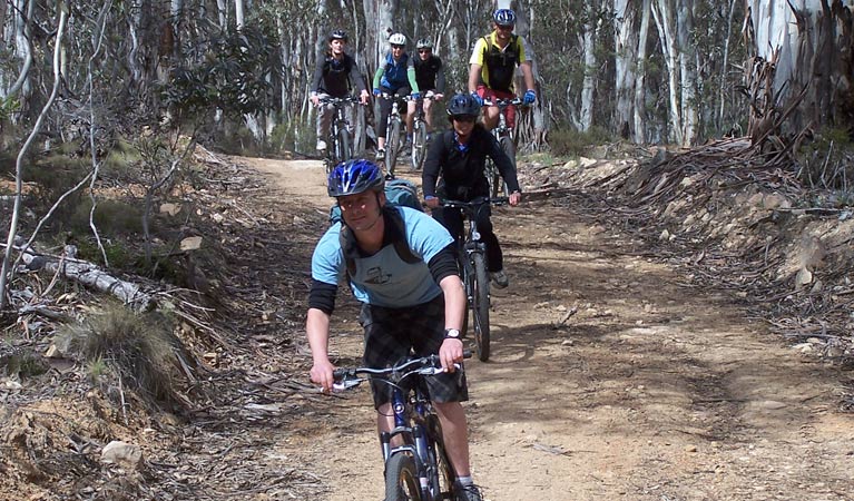 Boyd River Loop Mountain Biking, Kanangra Boyd National Park. Photo: J Bros/NSW Government.